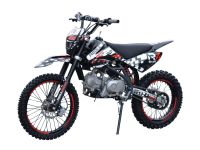 Питбайк REGULMOTO Seven Medalist 19/16