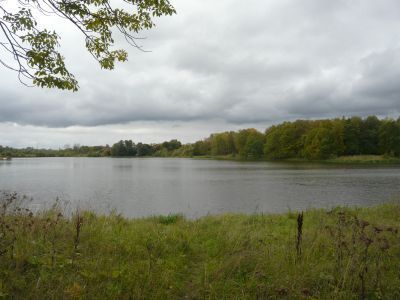 Пруд Орловский (Заводской) с водосбросными трубами