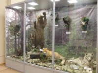 Музей истории города и флота г. Североморск