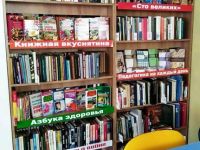 Верхне-Гуторовская модельная сельская библиотека