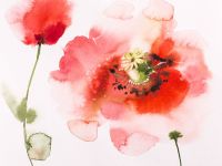 Бумага для акварели "White Swan" Fin 50х70 см 200 г 1 лист