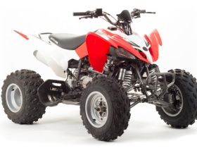 Квадроцикл MOTOLAND 125S (2020 Г.)