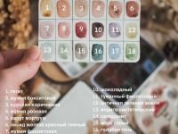 Набор акварели "Handy" Лесные истории, 18 кювет 2 мл, в металлическом боксе