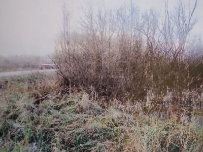 Участок дворца Петра I