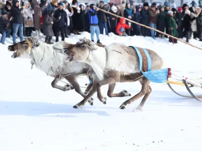 Гонки на оленьих упряжках стали самым посещаемым соревнованием на Играх оленеводов в Якутске