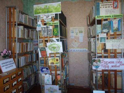 Дрофинская библиотека-филиал № 4