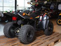 Квадроцикл СТЕЛС ATV 110A Hugo