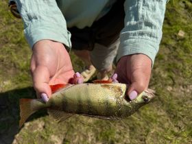 Щука 2,5 кило и трехлетний рыбак. В Якутии прошли соревнования по любительской рыбалке