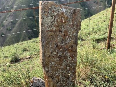 Стела № 37 раннемусульманского кладбища № 3 архитектурного комплекса "Мусийкъонгийкоте"