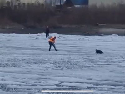 Видеофакт: в поселке Зырянка спасли провалившегося под лед человека