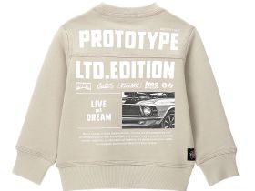 Свитшот для мальчика