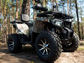 Квадроцикл YAMAHA Shark 300cc