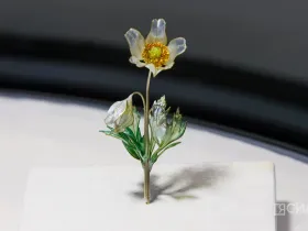 В Якутске открылась выставка Маргариты Зиминой «Цветы России»