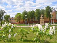 Алексеевский районный дом культуры