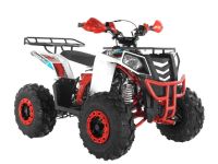 Квадроцикл WELS Thunder EVO X ST