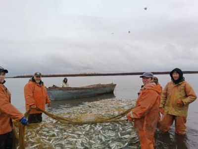 Традиционная осенняя путина стартовала в Усть-Янском районе Якутии