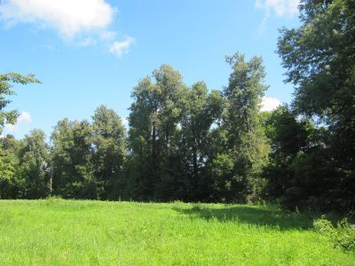 Парк "Верхний сад"