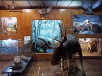 Клетнянский краеведческий музей