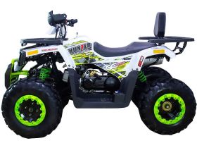 Квадроцикл AVANTIS Hunter 200 New Premium (2020)