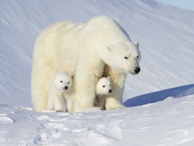 Минэкологии Якутии объявляет фотоконкурс