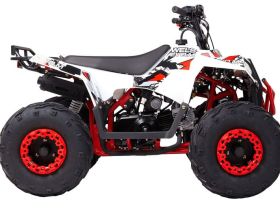 Квадроцикл WELS Thunder Evo M детский