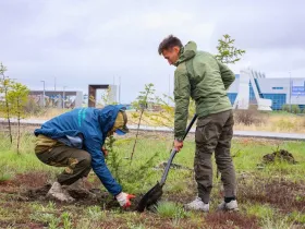 Саженцы ели и берёзы посадили в Парке Победы Якутска