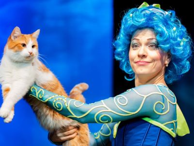 Билеты на Коты спасают мир / Театр | Афиша | ИнфоТаймс