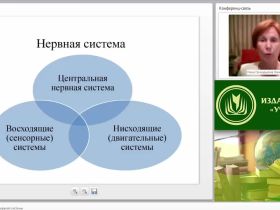 Международный вебинар "Физиология и гигиена нервной системы"