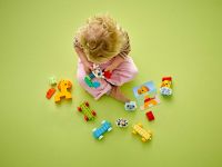 DUPLO 10412 Конструктор Поезд с животными