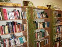 Центральная библиотека Александро-Невского района