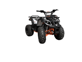 Квадроцикл KAYO Bull 130 Pro Sport