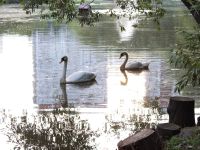 Сквер по Олонецкому проезду