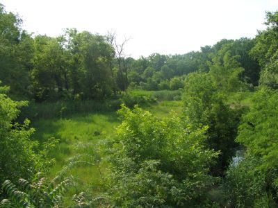 Место дубовой рощи - место первых маевок