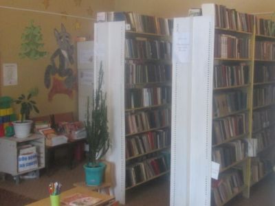 Недюревская библиотека