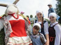 Дмитриевский сельский дом культуры