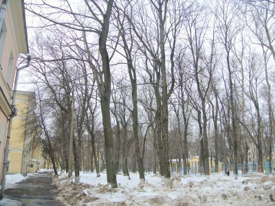 "Александровский институт"