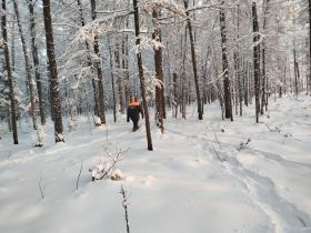 В Нюрбинском районе вторую неделю ищут пожилую женщину