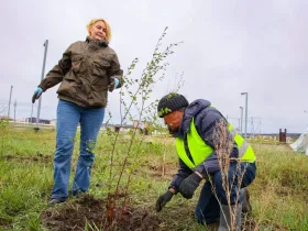 Саженцы ели и берёзы посадили в Парке Победы Якутска