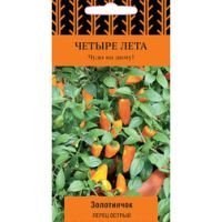 Перец острый Золотничок (Четыре лета)