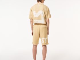 Мужские шорты Lacoste свободного кроя