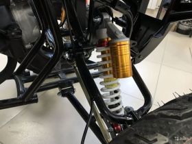 Квадроцикл RAPTOR Max Pro 250 (жёлтый/чёрный) (2024)