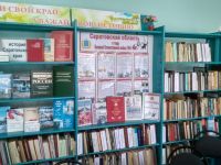 Новоелюзанская сельская библиотека