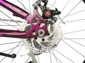 Детский велосипед Novatrack Alice Disc 20, год 2021, цвет Фиолетовый