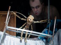 Пермский театр кукол