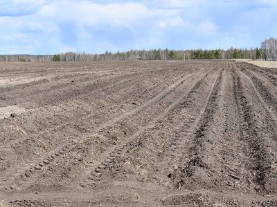 В Якутии засеют сельхозкультуры на более 52 000 гектарах