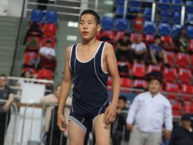 Масштаб впечатляет. Ковёр Павла Пинигина собрал тысячу юных борцов