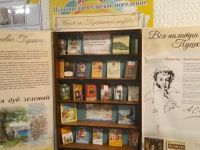 Пушкинская сельская библиотека