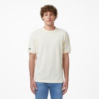 Мужская хлопковая футболка Lacoste