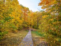 Роща «Лучинник»