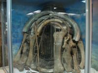 Чувашский национальный музей